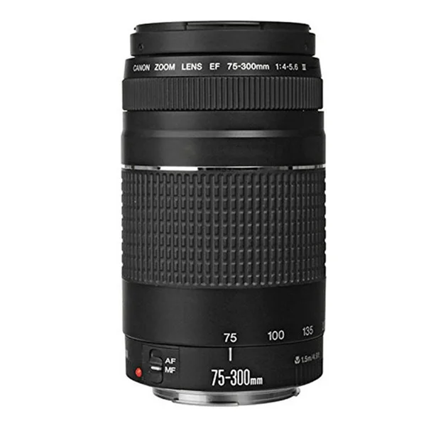 Canon EF 75-300mm f/4-5.6 III USM Telephoto Zoom Lens with Accessories for Canon SLR Cameras