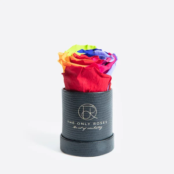 Single Rainbow Everlasting Preserved Rose in Leather Petite Round Shaped Rose Box - Rose Hat Box, Preserved Rose, Forever Roses, E