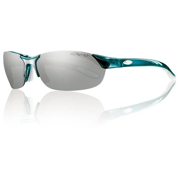 Smith Parallel Polarized Sunglasses Black/Gray