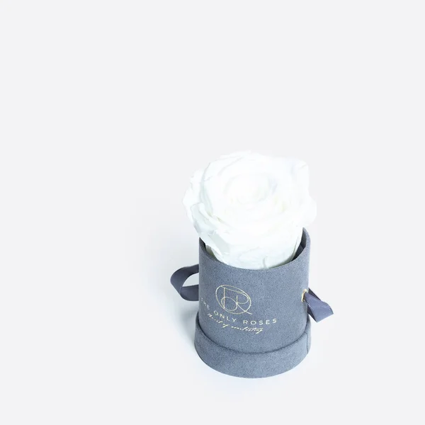 The Only Roses, Petite Round Gray Suede Hat Box with Single White Everlasting Preserved Rose