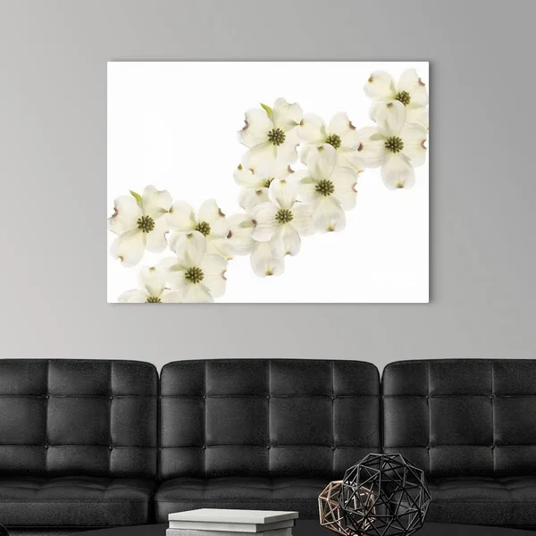 Dogwood Beauty, Canvas Wall Art, 40x30, Great Big Canvas