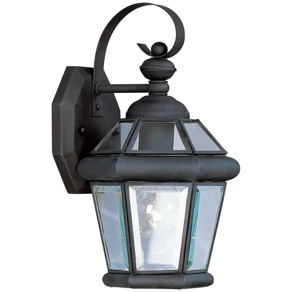 Livex Lighting Georgetown Outdoor Wall Lantern Polished Brass 1 Light 2061-02