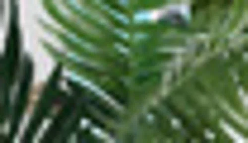 Nearly Natural 4 ft. Kentia Palm Silk Tree