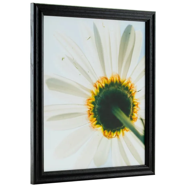 Craig Frames Wiltshire 200 - Traditional Black Hardwood Picture Frame, 5 x 29 inch