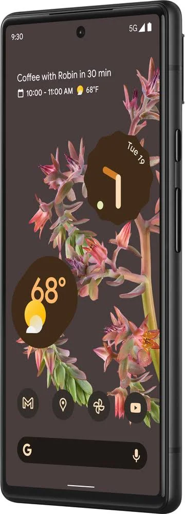 Google Pixel 6 128 GB in Stormy Black with installment