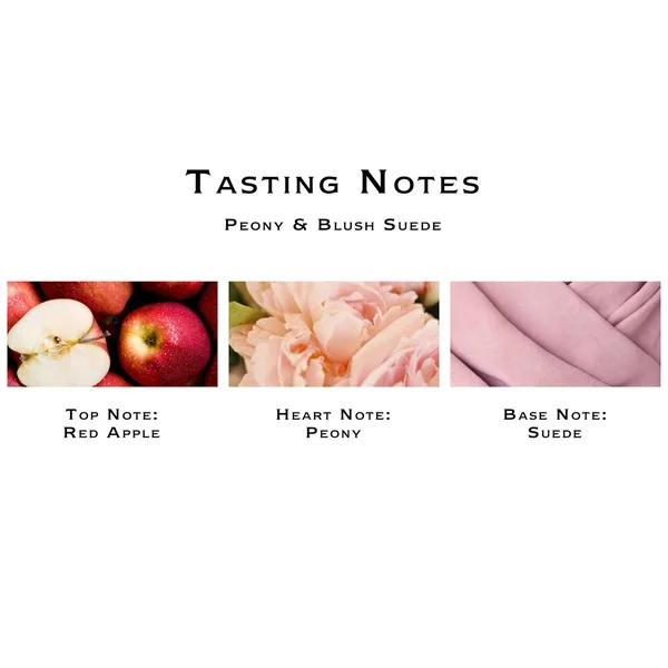Jo Malone Peony & Blush Suede Scent Surround Diffuser 5.6 oz