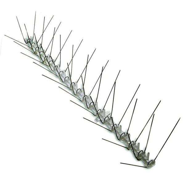 Stainless Steel Bird Spikes - 50 Feet - Bird-X - STS-50