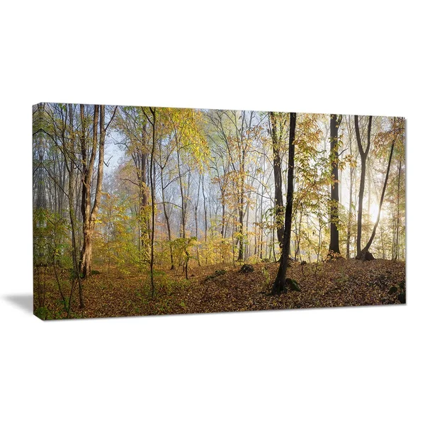 Designart &Green Autumn Forest in Morning& 4 Piece Wall Art on Wrapped Canvas Set