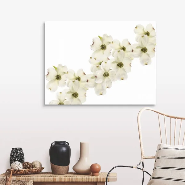 Dogwood Beauty, Canvas Wall Art, 40x30, Great Big Canvas