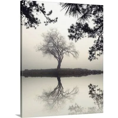 &Winter Willow& Nicholas Bell Photographic Print Great Big Canvas Format: Canvas, Size: 20x22 H x 16x22 W x 1.5x22 D
