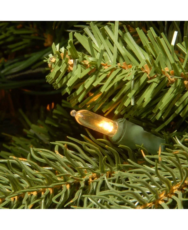National Tree Jersey Fraser Fir Medium Tree with Clear Lights 6.5&