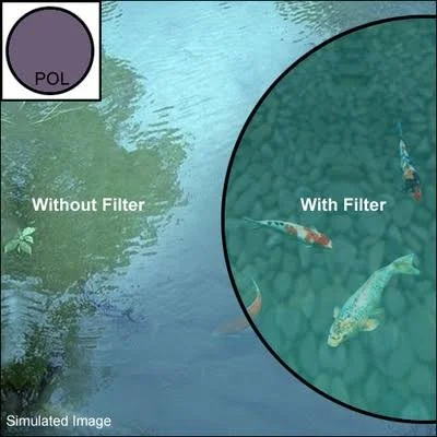 Schneider 4.5x22 Mounted True-Pol Circular Polarizer Filter 68-013145