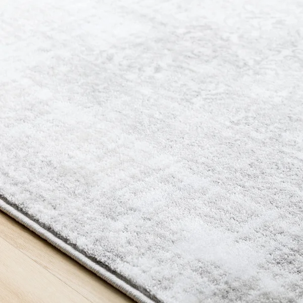 Surya, Nova Area Rug - 3&9x22 x 5&2x22