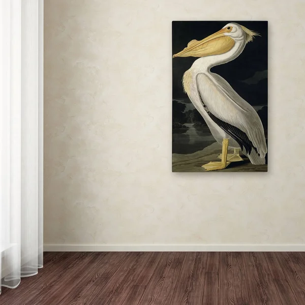Trademark Global Fine Art John James Audubon &American White Pelican& Canvas Art