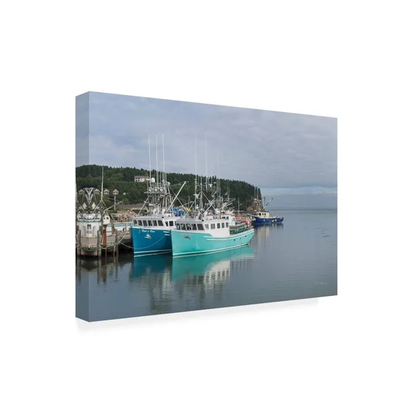 Alan Majchrowicz 'Bay of Fundy I' Canvas Art - 30x47