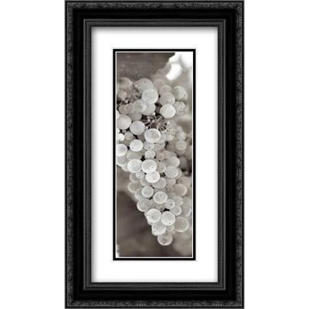 Grapes Pano - 13 2x Matted 14x24 Black Ornate Framed Art Print by Blaustein - Alan