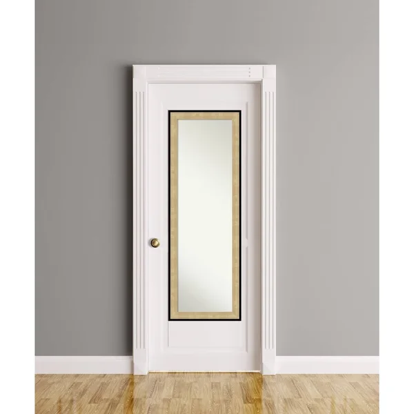 Amanti Art Swan Champagne Black Full Length Over-The-Door Mirror, Gold