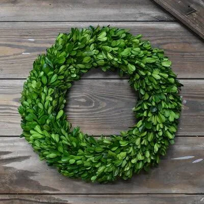 Preserved Boxwood Wreath Ophelia & Co. Size: 14x22 H x 14x22 W x 4x22 D