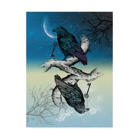 Trademark Fine Art 'Raven Night and Day' Canvas Art by Rachel Caldwell - Size: 35 x 47