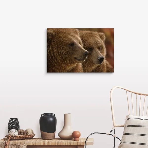 Brown Bears - Lazy Daze - Canvas Wall Art, 30x20, Great Big Canvas