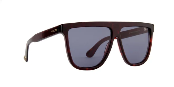 Gucci Sunglasses GG0582S 002