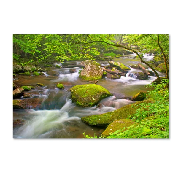 Trademark Art Bob Rouse 'Little River Rapids' Gallery-Wrapped Canvas Art
