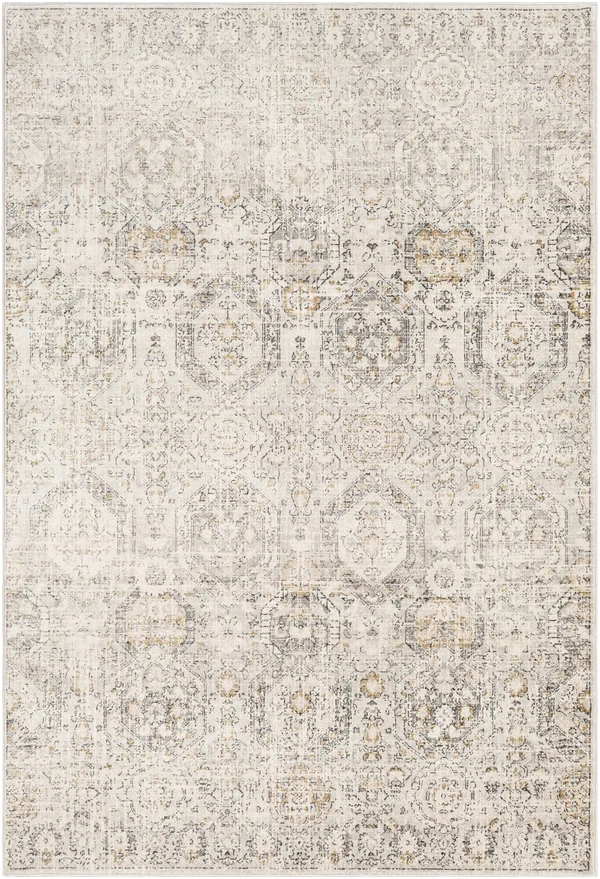 Parkerfield 8&10x22 x 12& Traditional Area Rug - Hauteloom