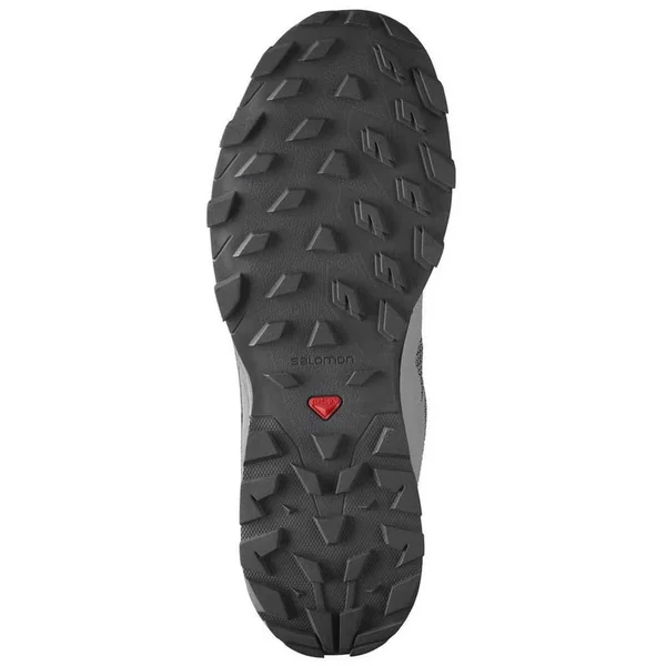 Salomon Men's Outline GTX Hiking, Alloy/Black/Evening Primrose