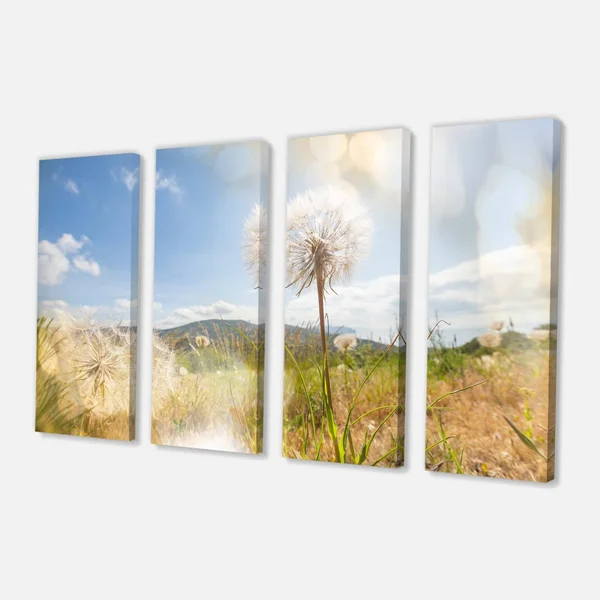 Design Art &Blooming Dandelion Under Bright Sky& Photographic Print on Wrapped Canvas - Size: 30 inch x 40 inch, White