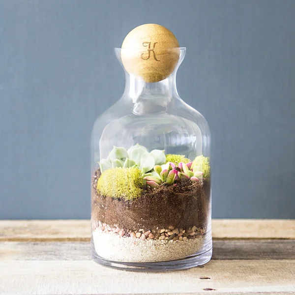 Personalized Glass Terrarium with Wood Ball Personalized 56-Ounce Clear Glass Terrarium with Wood Ball