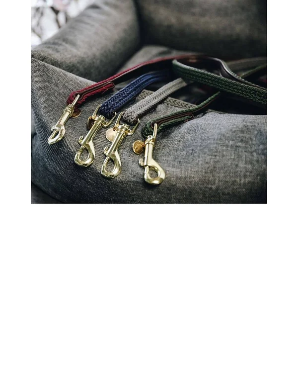 Kentucky Dog Lead Plaited Nylon