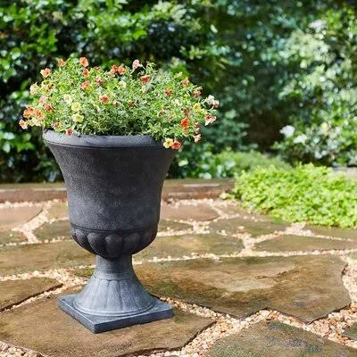 Southern Patio EB-029816 Winston 16 inch Diameter Resin Outdoor Planter, Black Ophelia & Co.