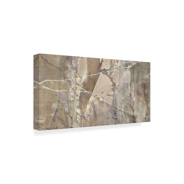 Trademark Fine Art 'Silver II Crop' Canvas Art by Albena Hristova, Size: 12 x 24