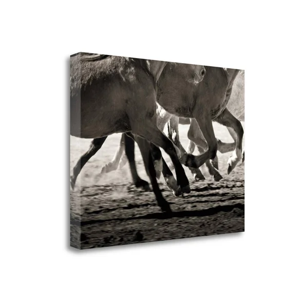 Tangletown Fine Art Off to The Races by Lisa Cueman Photographic Print on Wrapped Canvas