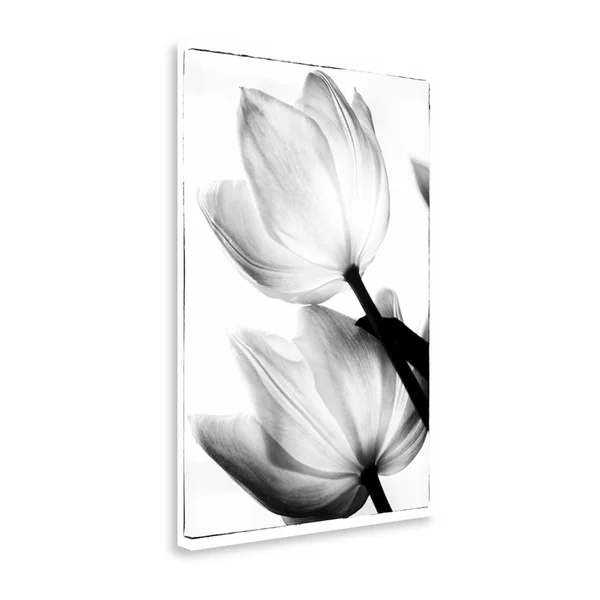 Tangletown Fine Art Translucent Tulips II by Debra Van Swearingen - Giclee Print, 22x22x31x22