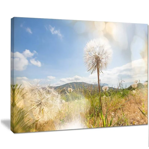 Design Art &Blooming Dandelion Under Bright Sky& Photographic Print on Wrapped Canvas - Size: 30 inch x 40 inch, White