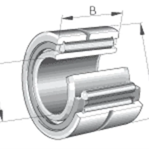 NA6905 XL INA - Needle Roller and Cage Assembly