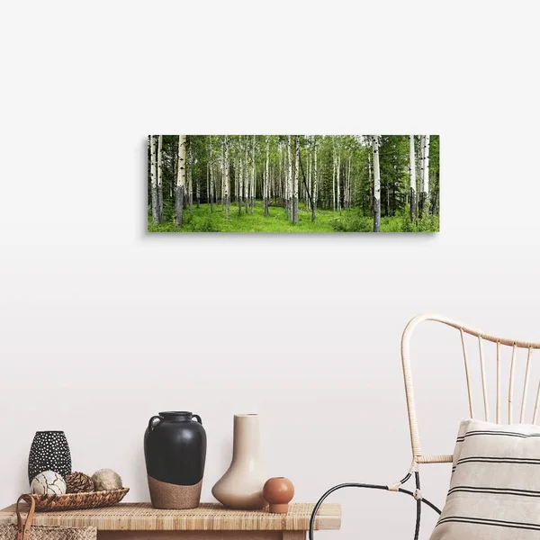 Aspen Trees in A Forest - Banff, Banff National Park, Alberta, Canada, Canvas Wall Art, 36x12, Great Big Canvas