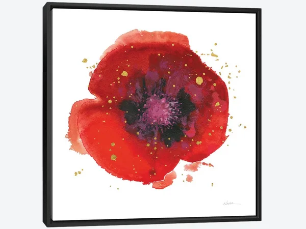 Framed Canvas Art - Splash V by Shirley Novak ( Floral & Botanical > Flowers > Poppies art)