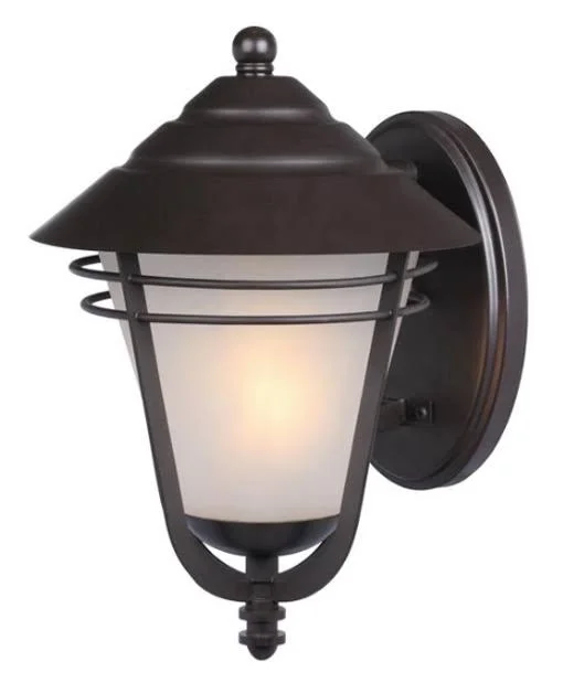 Westinghouse Lighting Bonneville 1 Light Wall Lantern 6230200