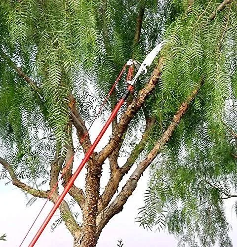 Corona TP3841 12& Tree Pruner with Fiberglass Handle