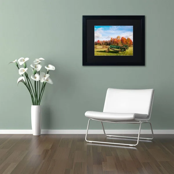 Trademark Fine Art The Old Rake by Michael Blanchette Framed Photographic Print - Size: 16x22 H x 20x22 W x 0.5x22 D - Matte Colo
