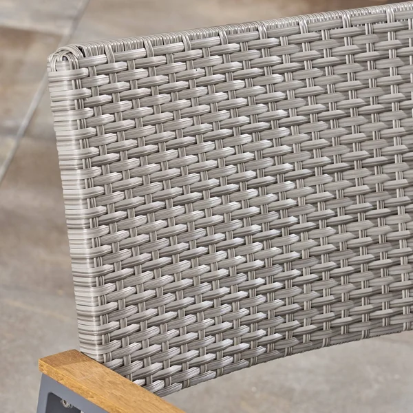 Noble House Luton Outdoor Wicker Dining Chair in Gray - Set of 2