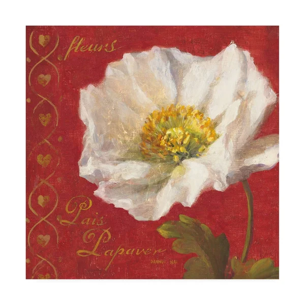 Trademark Fine Art 'Paris Blossom II' Canvas Art by Danhui Nai - Size: 18 x 18