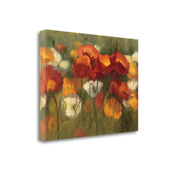 18x22 x 24x22 The Power of Red II by Shirley Novak Fine Art Giclee Print