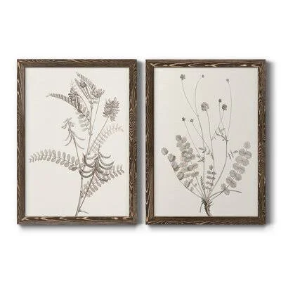 Neutral Botanical Study VIIPremium Framed Print - Ready to Hang August Grove Format: Walnut Framed Canvas - Matte Color: No Matte