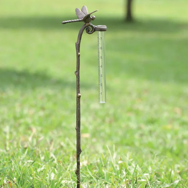SPI Home Dragonfly Rain Gauge Garden St