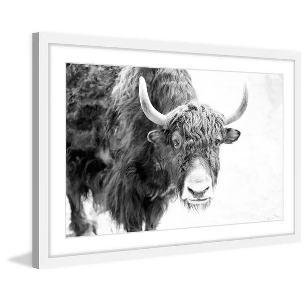 Marmont Hill Buffalo Forward Framed Painting Print - White