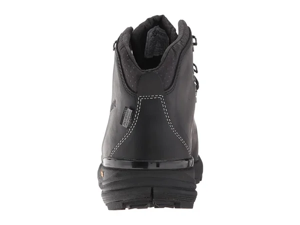 Danner Men's Mountain 600 4.5x22 Hiking Boot, Black