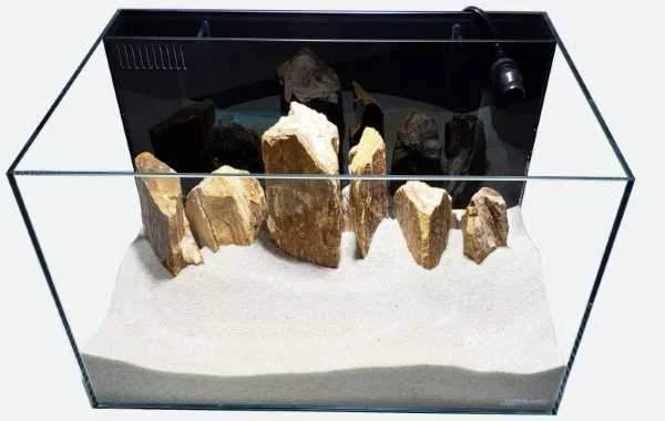 Lifegard Aquatics Ultra Low Iron Glass Crystal Aquarium with Built-in Back Filter - 24 Gallons